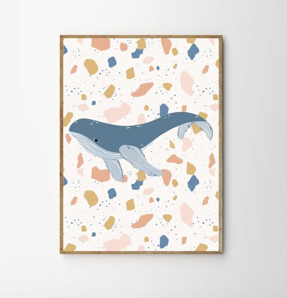 Постер киты Сканди