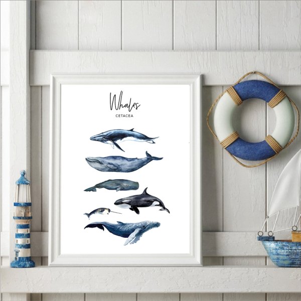 Плакат киты
