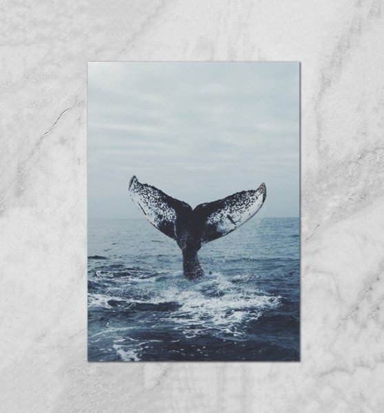 Кит Постер 2022