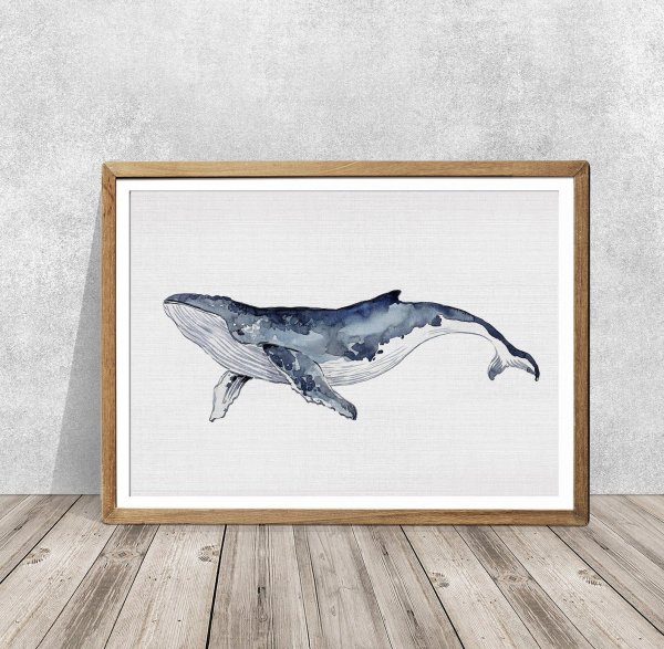 Постеры идея кит