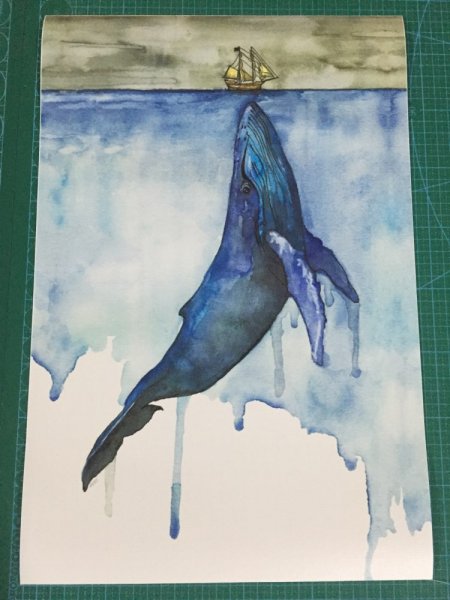 Семейства полосатиковых китов гравюра