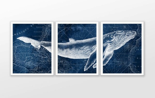 Китообразные Постер