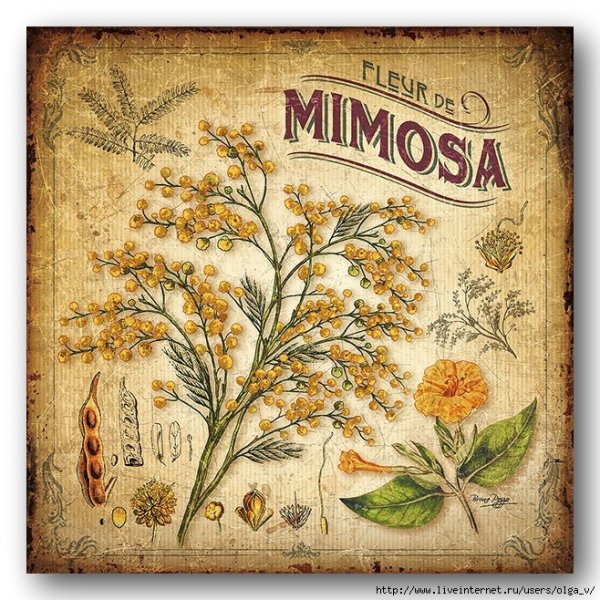 Старинные плакаты