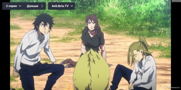 Алиса в Пограничье Арису