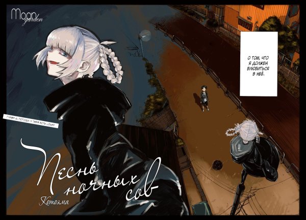 Песня ночных сов арты