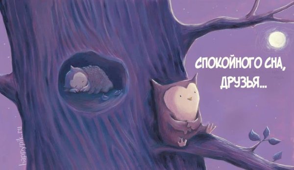 Пожелания спокойной ночи