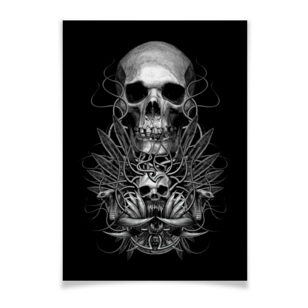 Постеры с черепами