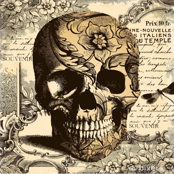 Красочный череп