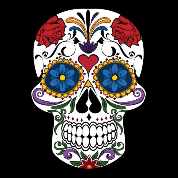 Плакат с черепом