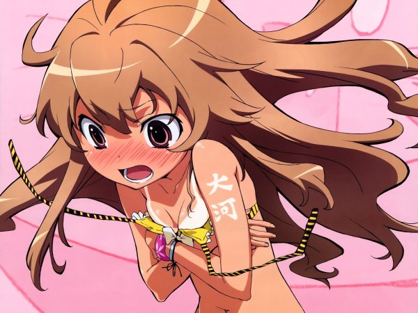 ТОРАДОРА аниме Постер