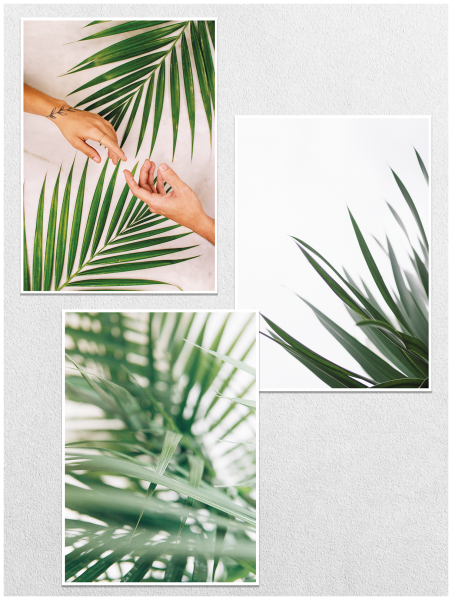 Постер лист папоротника