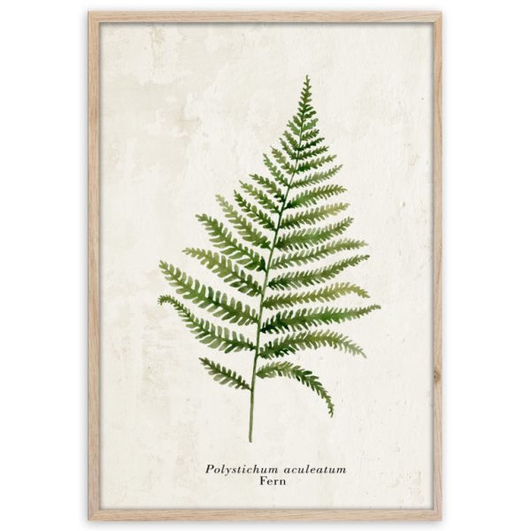 Лист папоротника репродукция