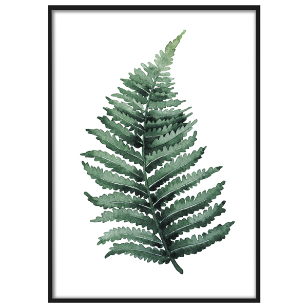 Постер папоротник в интерьере