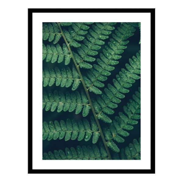 Акварельные листья пальмы