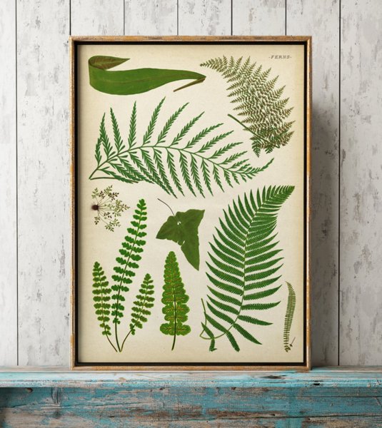 Постеры листья в интерьере