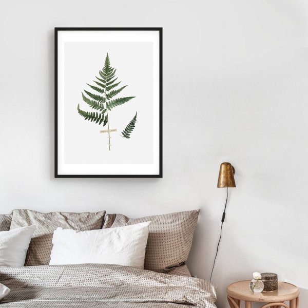 Постер папоротник в интерьере