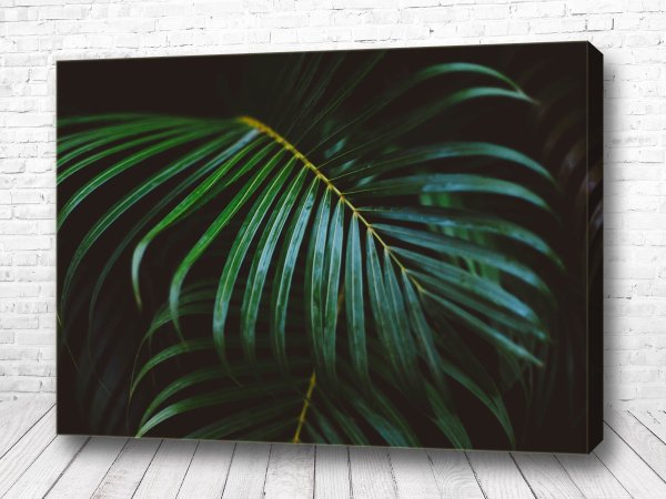 Папоротник акварель