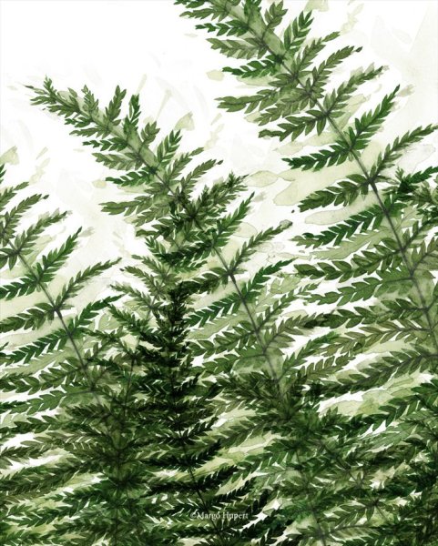 Картина с листом папоротника