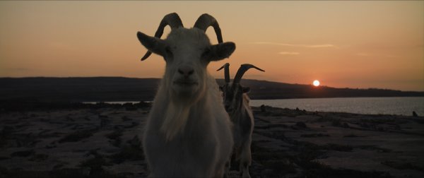 Банши инишерина Одноклассники