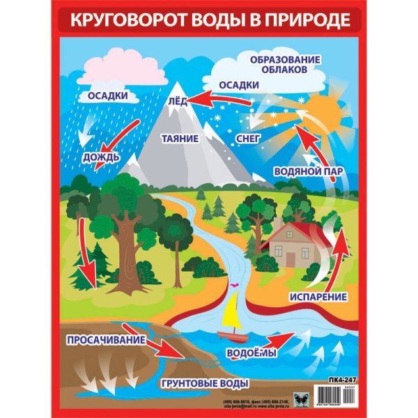Плакат круговорот воды в природе