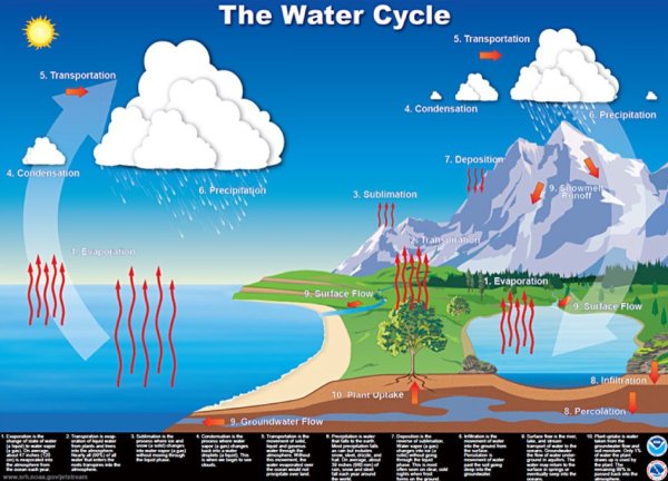 Круговорот воды в природе для детей