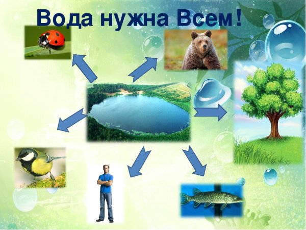 Водоворот воды в природе для детей