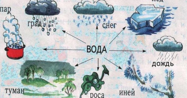 Значение воды