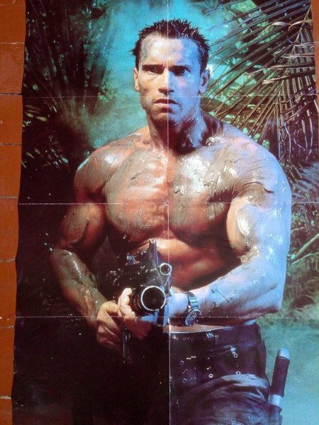 Арнольд Шварценеггер хищник