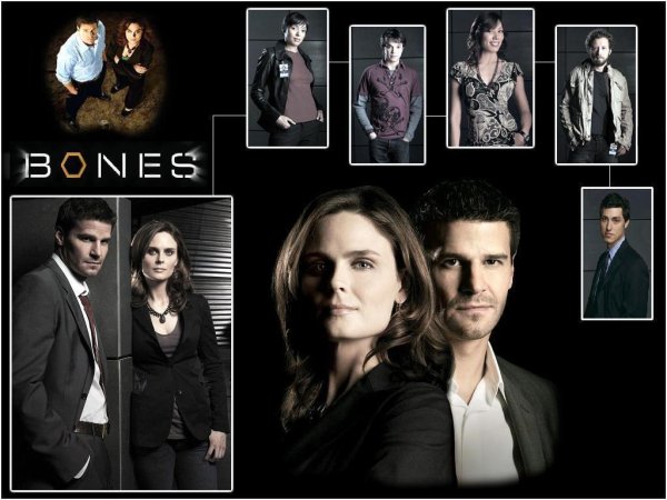 Сериал кости обложки сезонов