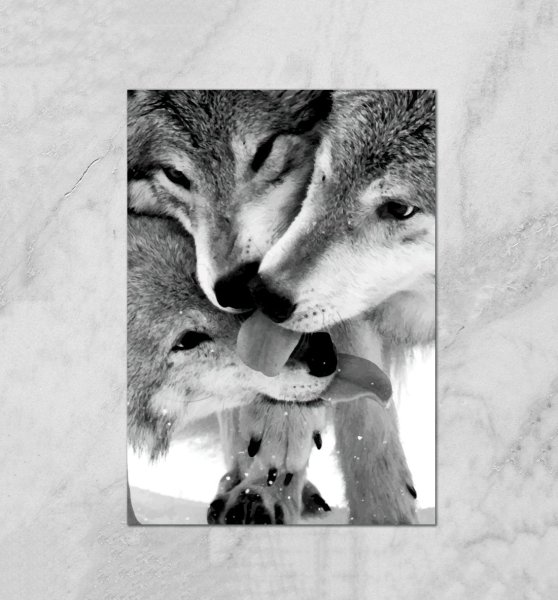 Постер волки