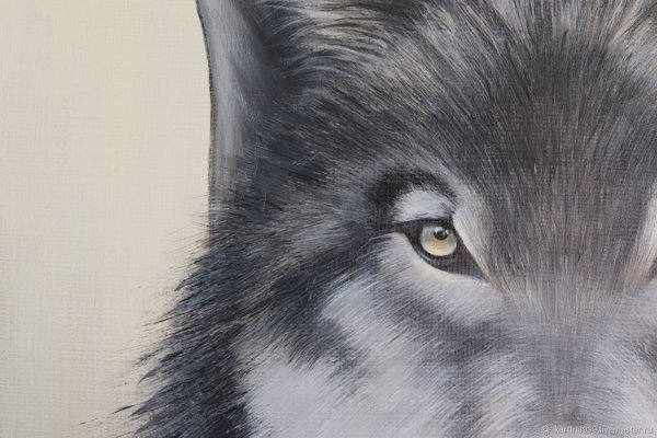 Скетчпад волк