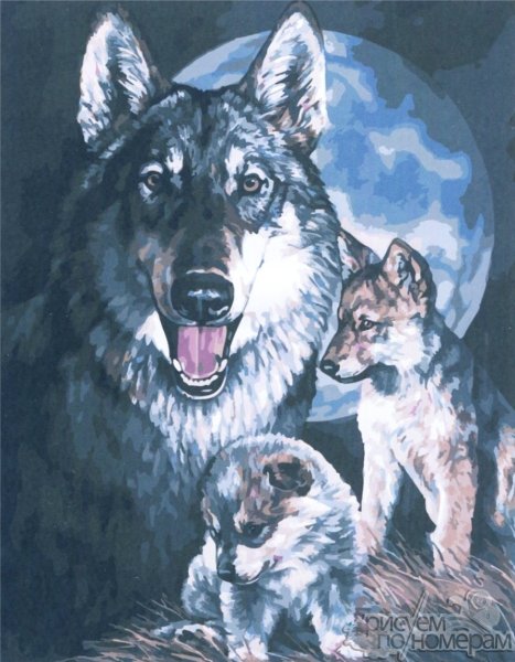 Плакат с волком