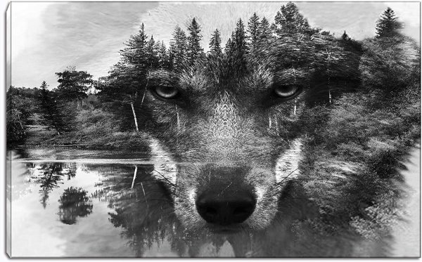 Волк двойная экспозиция