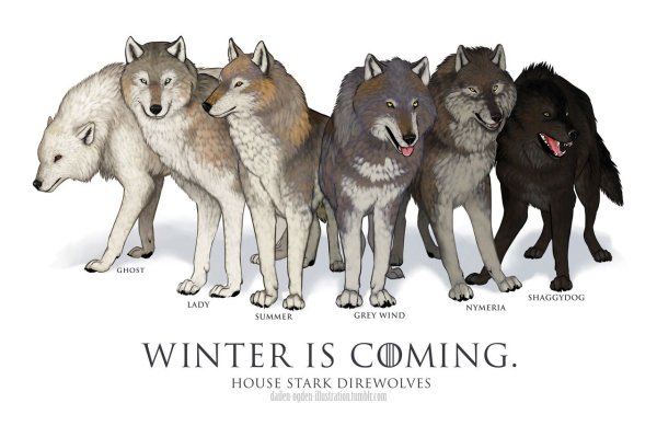 Серебряный волк Постер