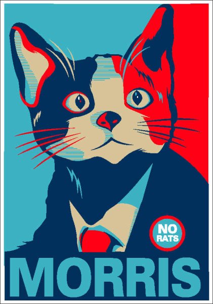 Плакаты с котиками