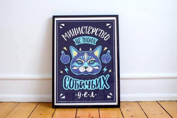 Постер кот в очках