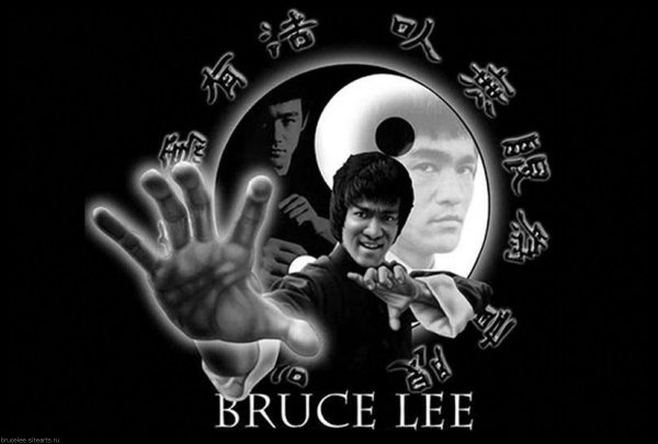 Высказывания Брюса ли