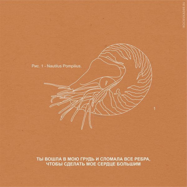 Наутилус Помпилиус логотип