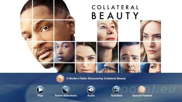 Призрачная красота фильм обложка