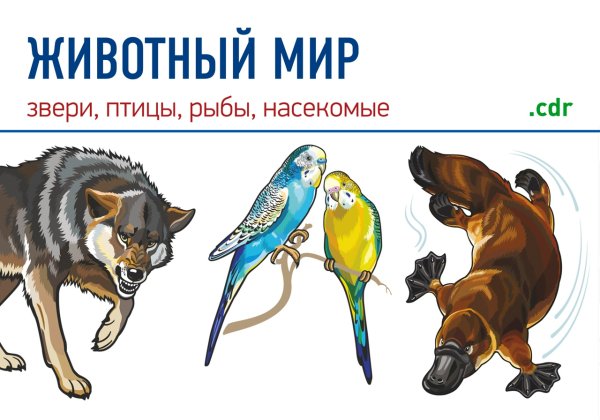 Защита рыб птиц и зверей