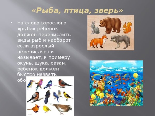 Плакат красная книга