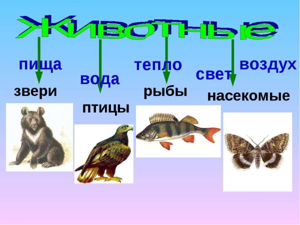 Природа Курганской области животные