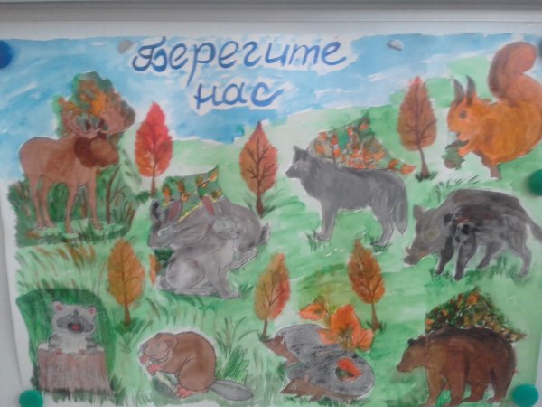 Всемирный день дикой природы