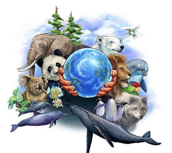 Адриан Честерман картины птицы