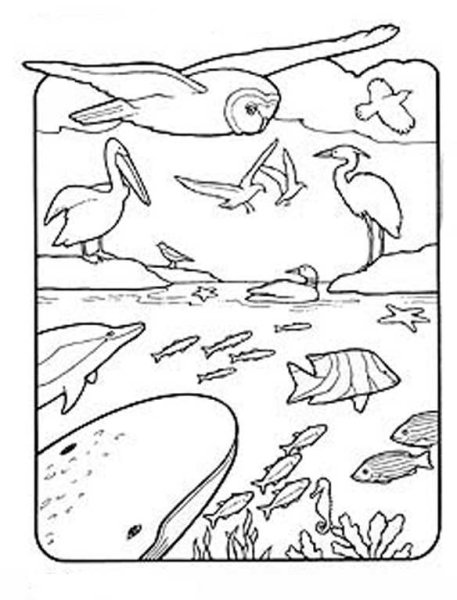 Плакат охрана животных