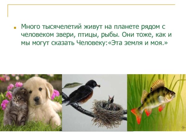 Экологический плакат