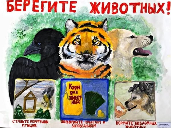 День защиты животных плакат