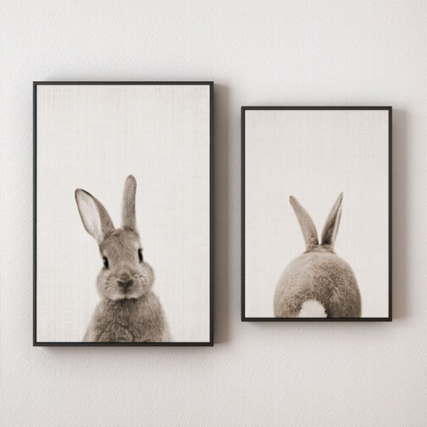 Постер кролик