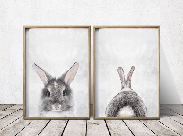 Постеры на стену с кроликами