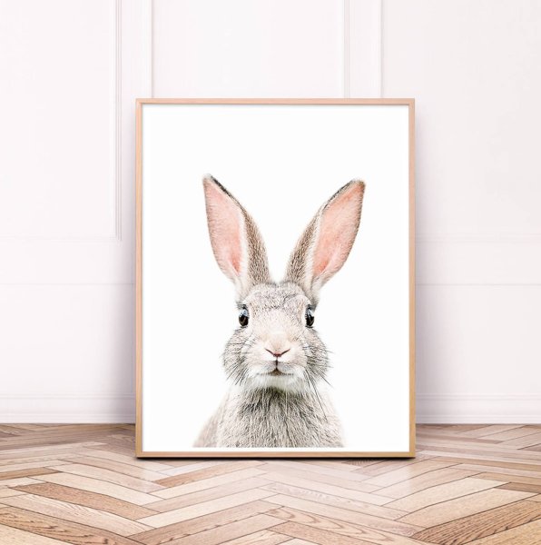 Постеры кролики для печати